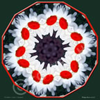 lst Chakra DaisyRed Flower Mandala