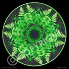4th Chakra Green Fern Flower Mandala